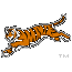 Bengals Logo